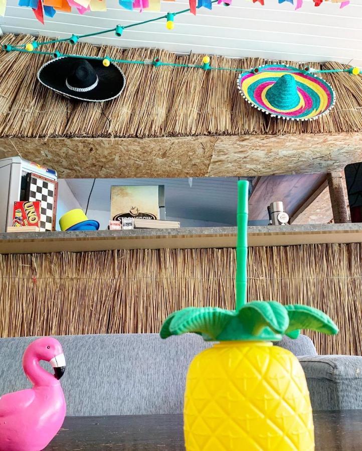 Cactus Costinesti Camin Studentesc pentru Elevi si Studenti Hostel Exterior foto