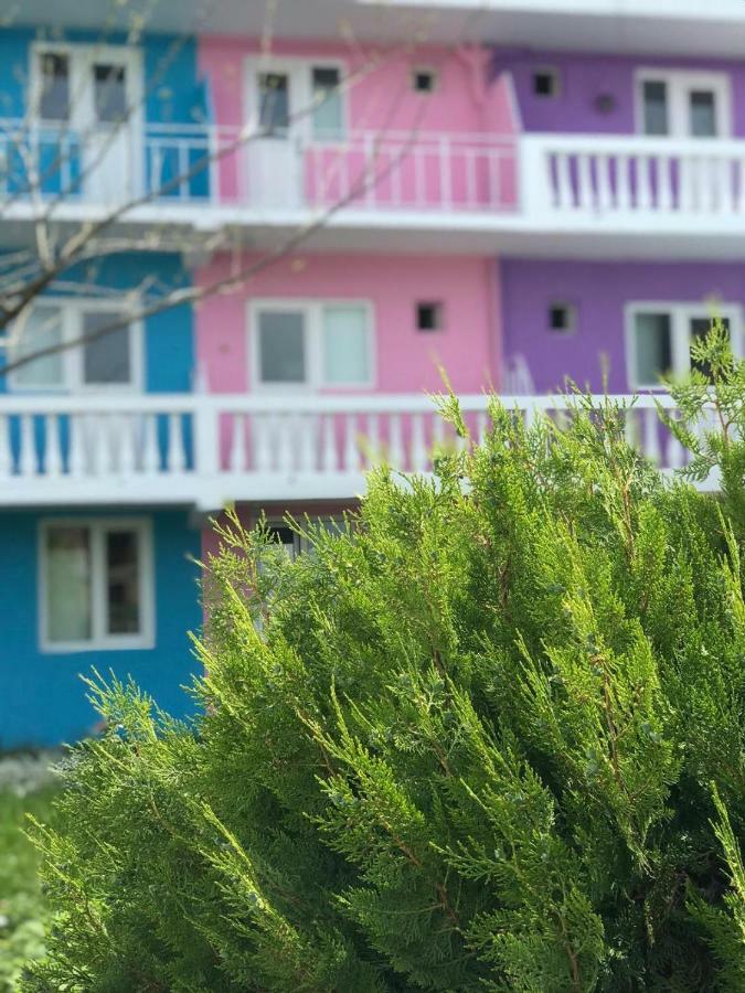 Cactus Costinesti Camin Studentesc pentru Elevi si Studenti Hostel Exterior foto